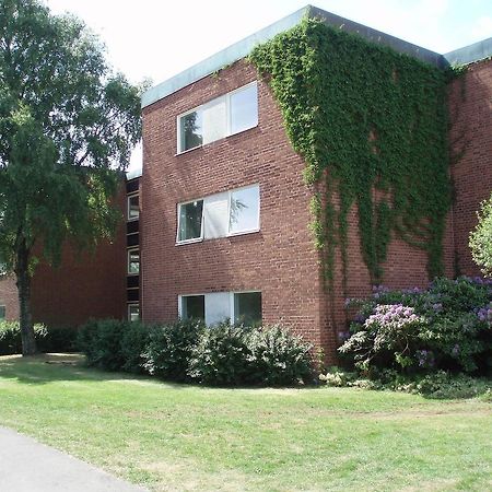 Krusbaerets Vandrarhem Halmstad Bagian luar foto